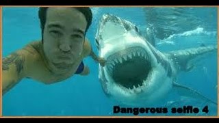 20 Most dangerous selfie in the world|| craziest selfies ||