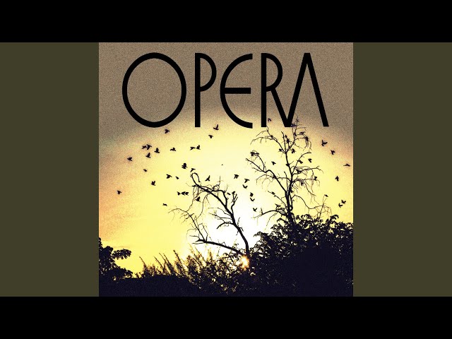 Opera - Dzikie Kwiaty