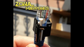 Panduit PSL-DCPL-BL-C