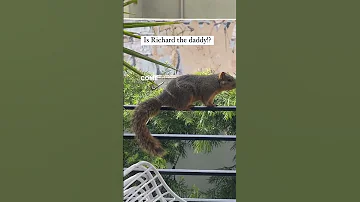 Acting Like He Don T Hear Me I M Gonna Find Out One Way Or Another 