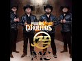 Mix de puros corridos de los hermanos espinoza