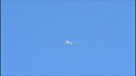 Swift S 1 berepülés