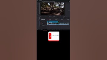Add the same effect to multiple clips in DaVinci Resolve. #videoediting #shorts