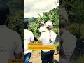 Tour Del Café Finca #cafe #coffee #tour #finca