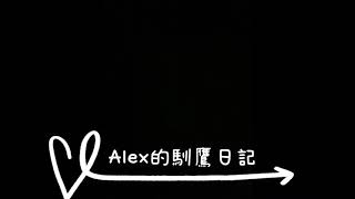 Alex的馴鷹日記 推薦飛達發 #猛禽健羽素