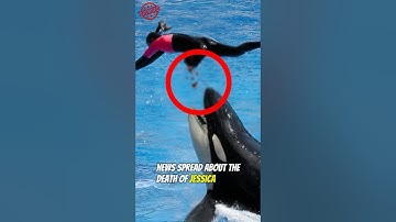 The Truth About "Jessica Radcliffe"