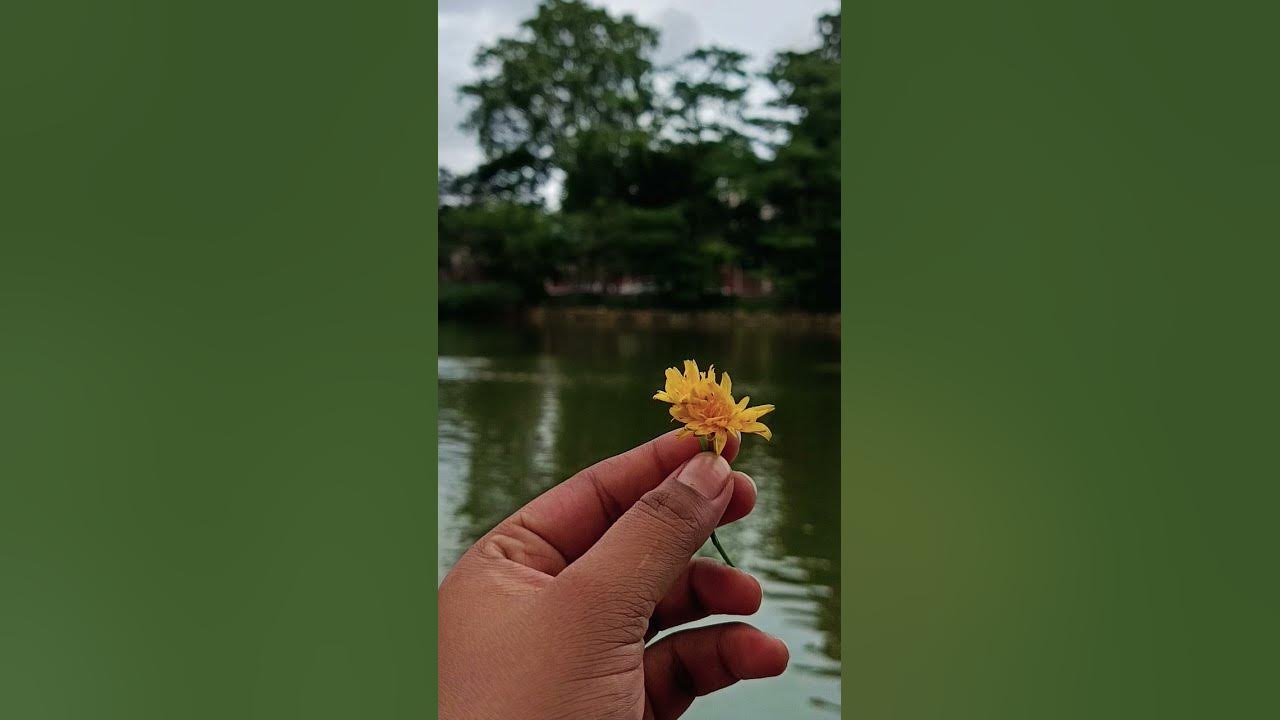#song #greenery #mountain #beutifullplace #nature #bloom #songs