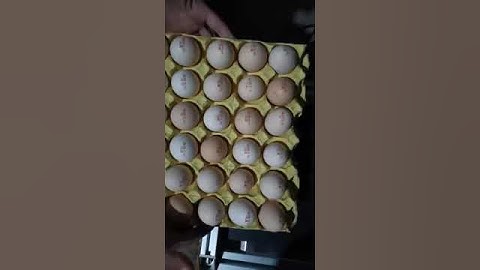 CIJ printer Codes the expiry date and logo on the eggs and plastic bag