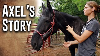 The Reality of Rescue | Axel's Story screenshot 1