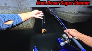 Download Lagu Spotnya Bgini, Di Tambah Malam, Sudah Pasti Dapat ikan Besar MP3 Download Lagu Spotnya Bgini, Di Tambah Malam, Sudah Pasti Dapat ikan Besar MP3