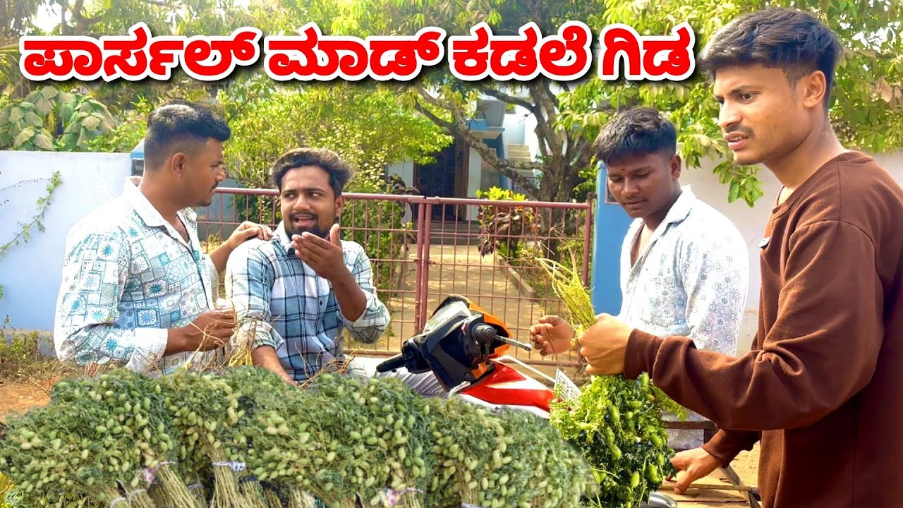 ಪಾರ್ಸಲ್ ಮಾಡ್ ಕಡ್ಲಿ ಗೀಡಾ 😂😂. Kadli Gida Comedy video. 