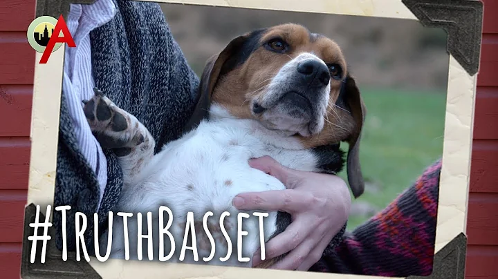#TRUTHBASSET (Hudson Valley Ballers EXTRA)