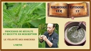 G1EP17  L'ortie LA plante qui vous veut du bien !