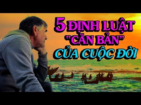 Video ✅5 ĐỊNH LUẬT CĂN BẢN CỦA ĐỜI NGƯỜI - Thiền Đạo - youtube