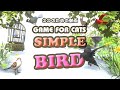 【猫用動画・鳥】GAME FOR CATS - SIMPLE - BIRD