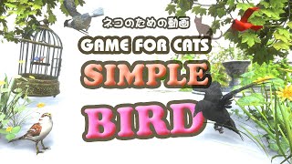 【猫用動画・鳥】GAME FOR CATS  SIMPLE  BIRD