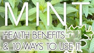MINT - health benefits & 10 ways to use it!