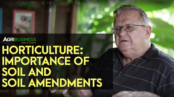 Soil and Soil Amendments:  Creates Better Drainage, Root Development, Healthier Plant.