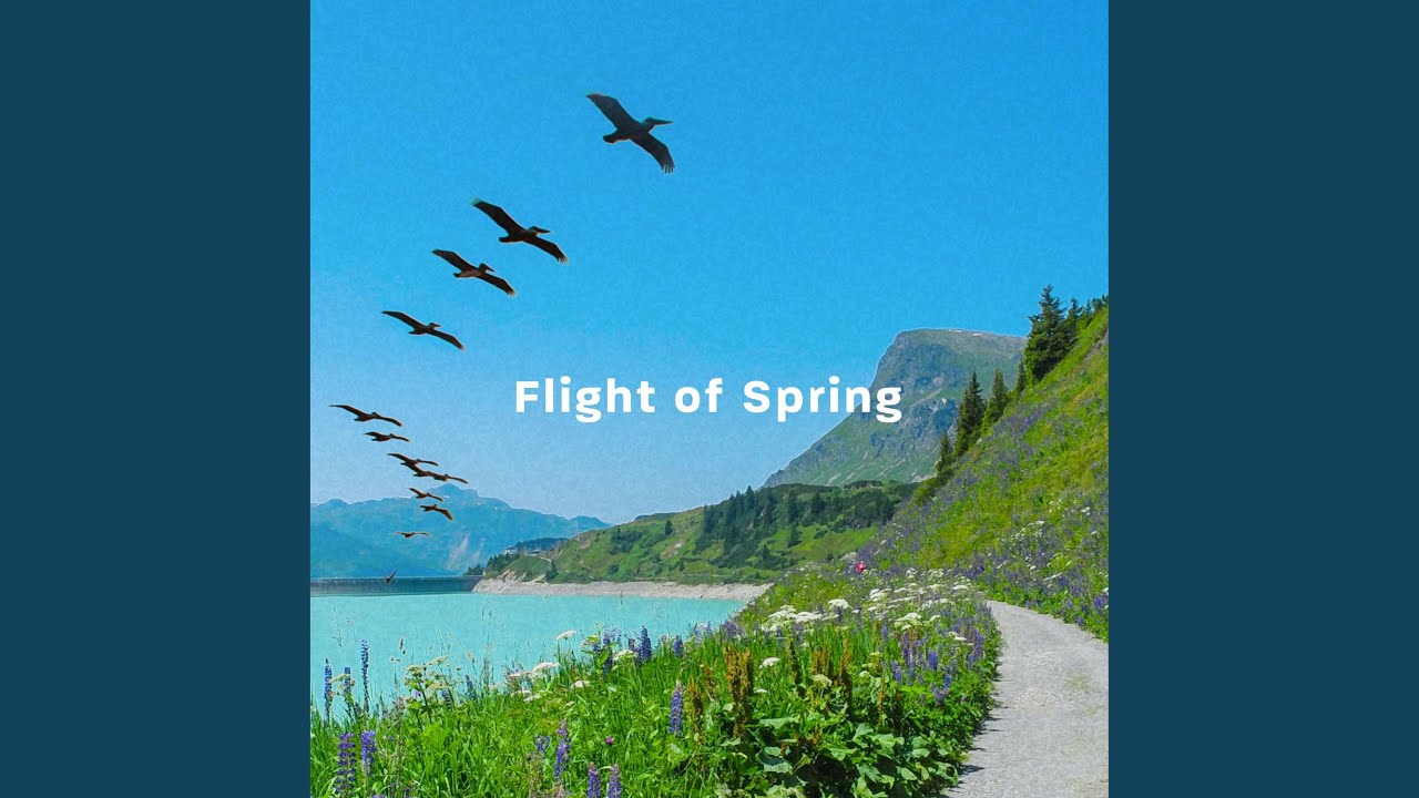 Watch Flying Colours on YouTube Watch Flying Colours on YouTube