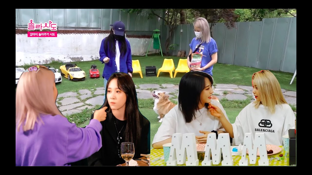 [용콩별콩] 용콩별콩 모음집 3! (Collection of YKBK )