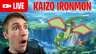 manifesting a pokemon that can win (1400+ Attempts) | KAIZO IRONMON (Pokémon Emerald)