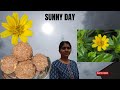 Day in my life |vlog |sunny day|Groceries refilling day