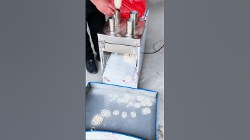 Automatic Vegetable Slicer｜Fast, Precise, and Consistent Cuts#FoodProcessingMachine #SlicingMachine