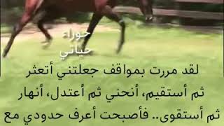 من ما علمتني الحياة