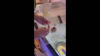 Hystrix Mercani Ürkçe