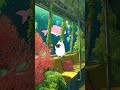 undersea