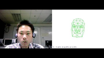 Head Pose Estimation Using Motion Subspace Matching on GPU