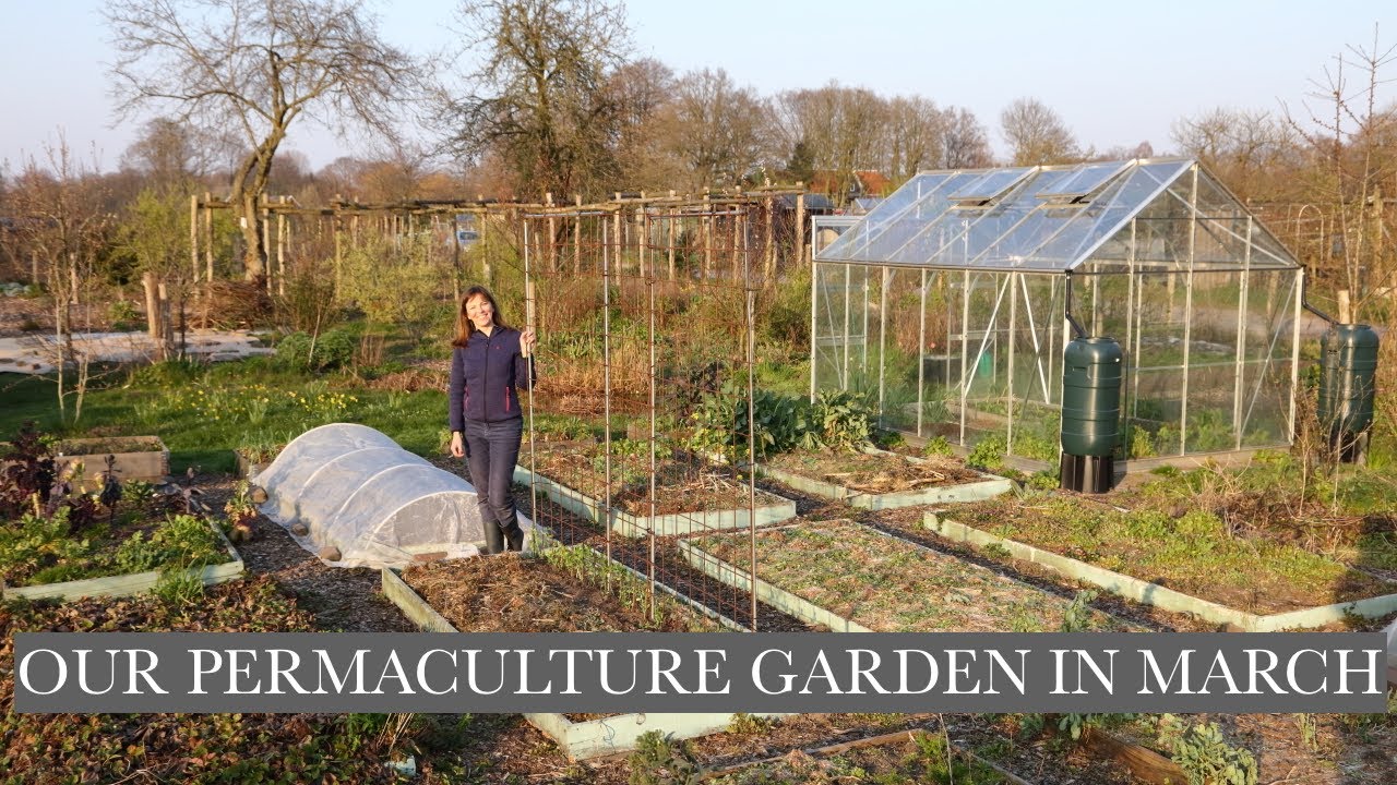 Our permaculture kitchen garden in March