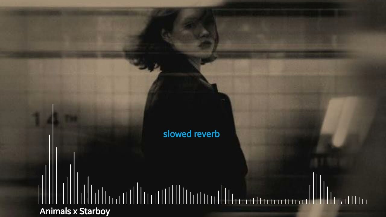 Animals x Starboy(MP3_160K).ᴍᴜꜱɪᴄ ᴠɪʙᴇꜱ slowed reverb