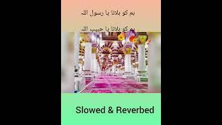 نعت ہم کو بلانا یا رسول اللہ ہم کو بلانا یا حبیب اللہ /نعت اویس رضا قادری نعت ہم کو بلانا یا رسول اللہ ہم کو بلانا یا حبیب اللہ /نعت اویس رضا قادری