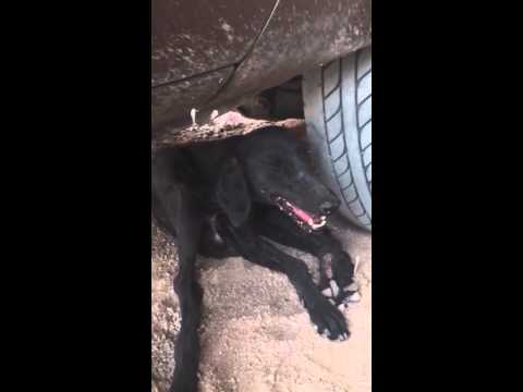 وجهك اسود يضحكني ههههههه