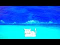 ねこ活動 #07