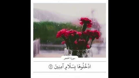 مقطع قران قصير تلاوة خاشعة بصوت شجي