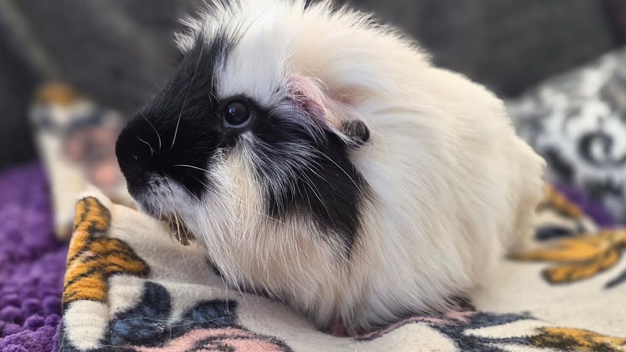 Шипучесть не очень-то хороша ❤️‍🩹