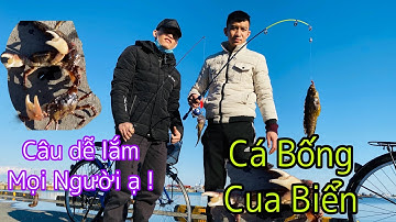 Hokkaido - Nhật Bản . Ra biển Ở Nhật câu Cá Và Cua - Cá Bống To ghê