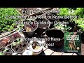 For New Gardeners: Everything You Need to Know Before Starting A Container Garden - Keys to Success!