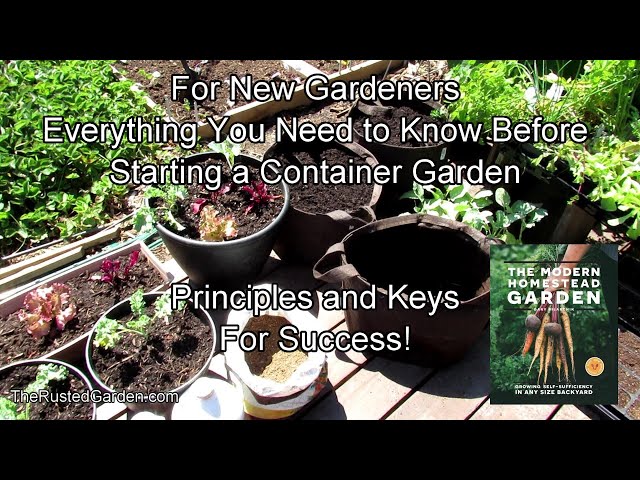 Everything You Need to Know About Container Gardening