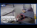 Chicken Salt Thief Caught On Camera At Popular Fish And Chip Shop | 10 News