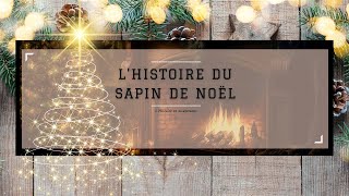 𝗝𝗢𝗬𝗘𝗨𝗫 𝗡𝗢𝗘𝗟 🎄 Quelle est l'origine du sapin de Noël ?