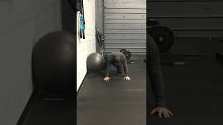 QUADRUPED PHYSIOBALL FIRE HYDRANT ISO HOLD