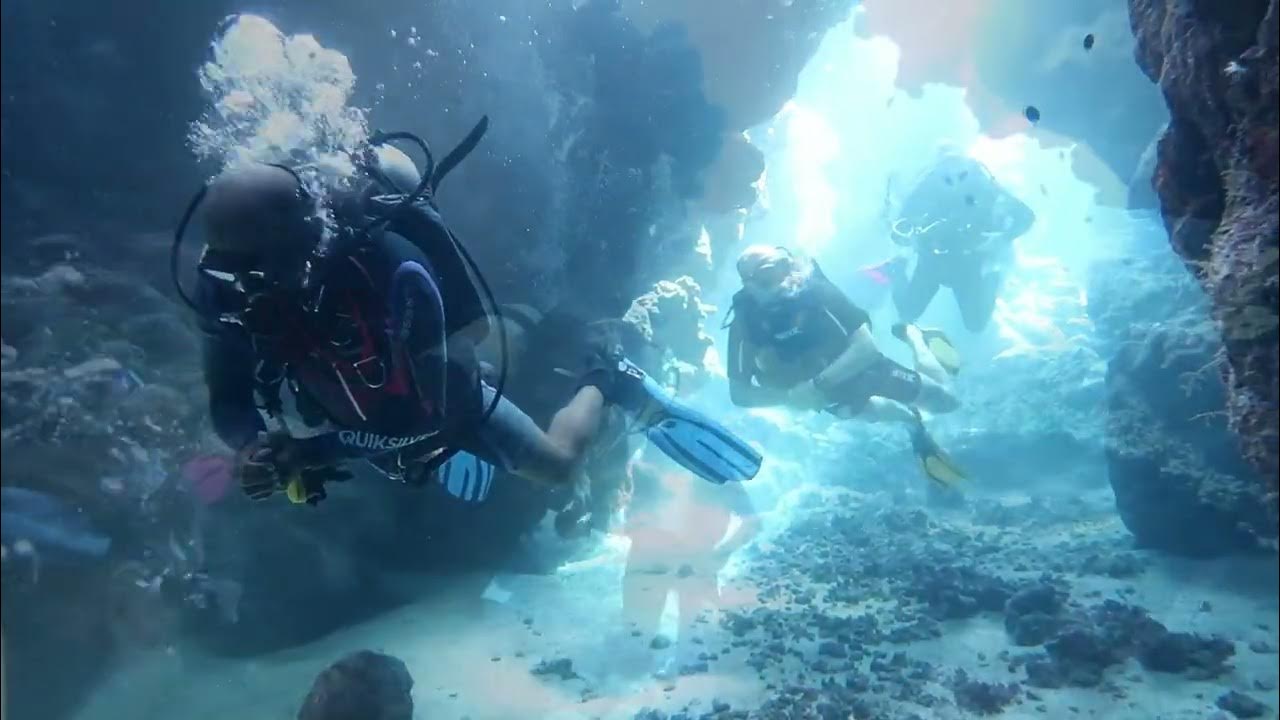 Een impressie van onze twee duiken op Dolphin House, Marsa Alam, Egypte. YouTube