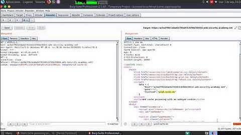 Web cache poisoning with an unkeyed cookie