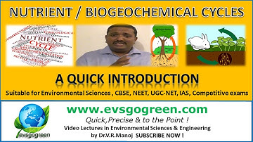 Nutrient Cycle or Biogeochemical Cycles, a Quick Introduction for Environmental Science