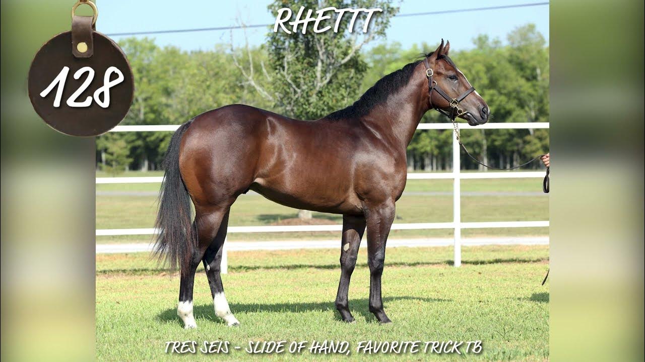 2023 Heritage Place Yearling Hip 128 YouTube