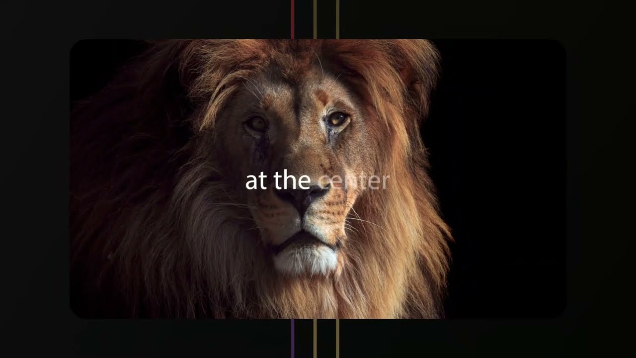 Digital Web Agency in Mauritius | Code Falcons Media