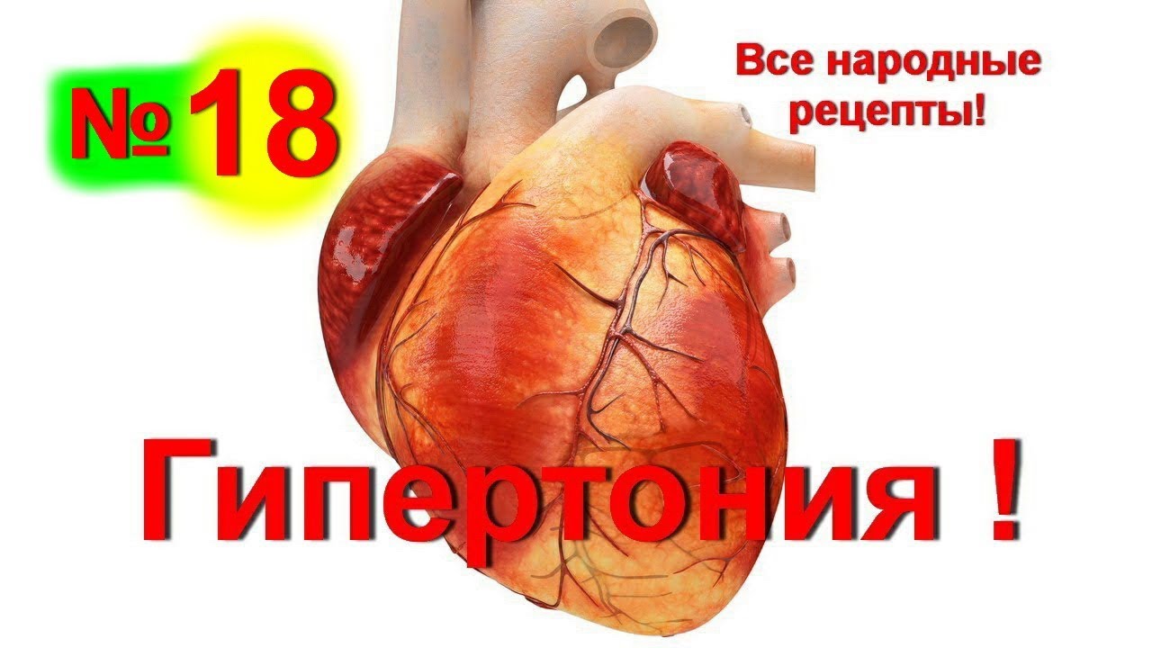 Гипертония ! Как вылечить гипертонию ! Снижение давления без и таблеток -№ 18 | #edblack гипертония лечение без таблеток